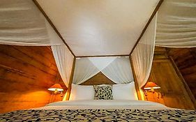 Villa 16 m² dengan 1 kamar tidur dan 1 kamar mandi pribadi di Canggu